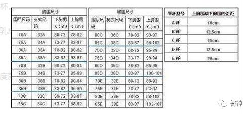 世界上胸围最小的人(世界上胸围最小的人类)-第1张图片-无双博客