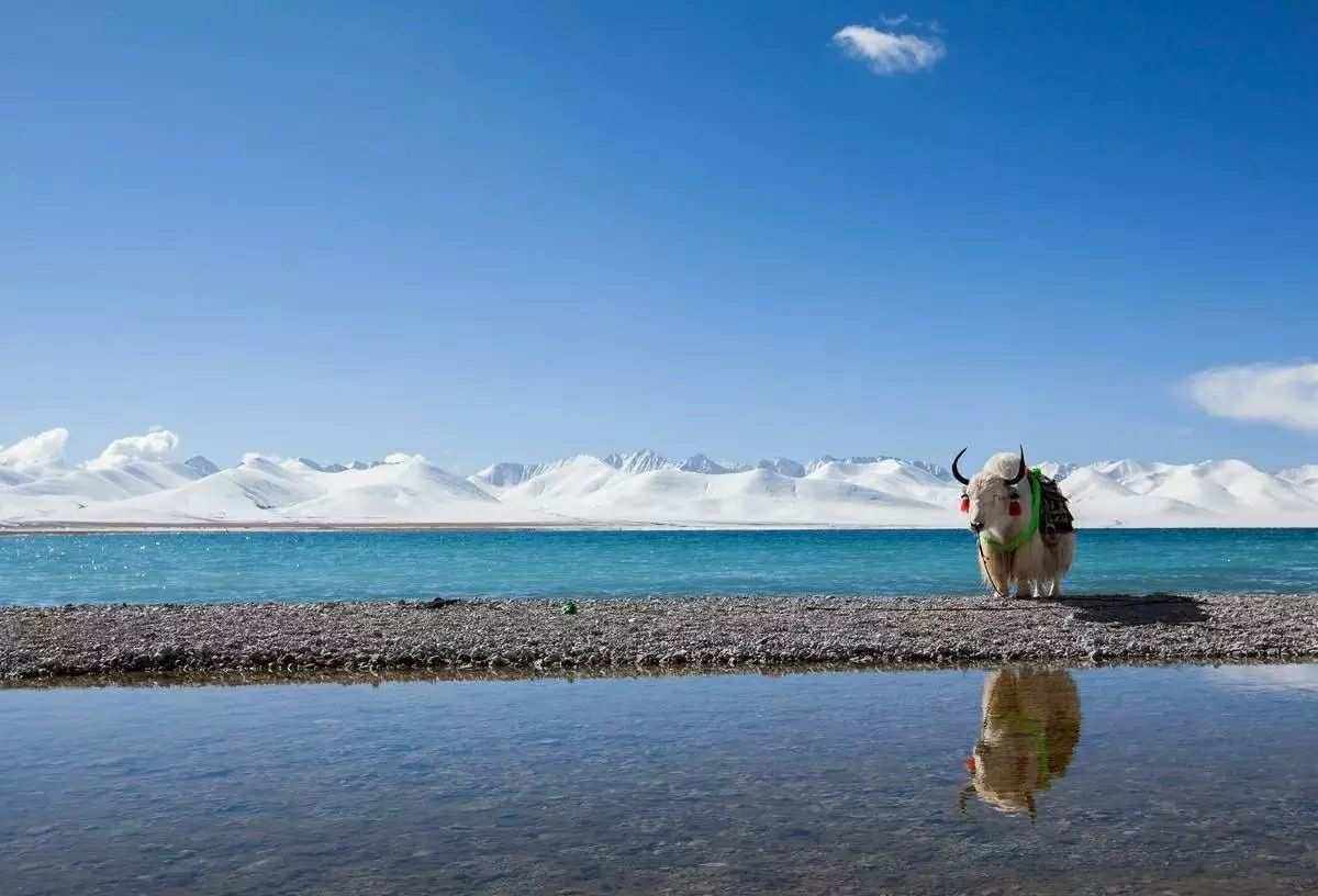 世界上海拔最高的咸水湖(世界上海拔最高的咸水湖一一什么的读音)-第1张图片-无双博客