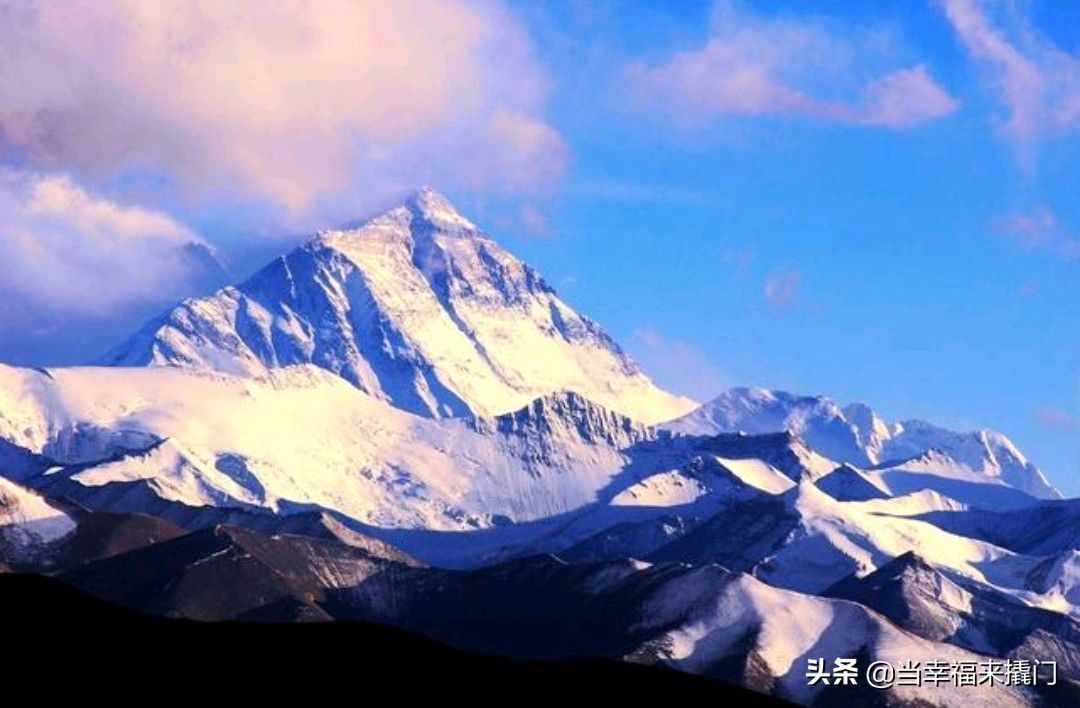 世界上最高山(世界上最高的狗)-第2张图片-无双博客