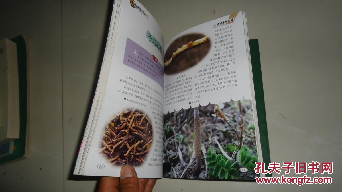 世界上植物未解之谜些(世界植物未解十大未解之谜)-第2张图片-无双博客