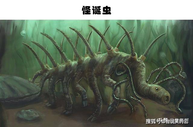 世界上最早的生物是什么(世界上最早的生物是什么动物)-第2张图片-无双博客