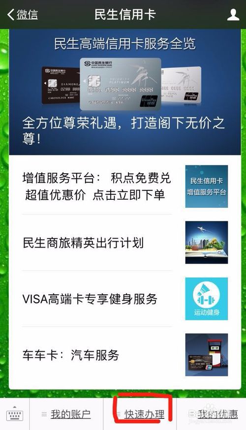 民生银行信用卡申请进度查询(民生银行信用卡申请进度查询官网)-第2张图片-无双博客