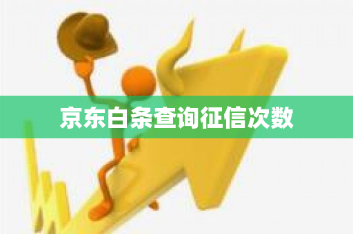 京东白条会上征信吗(京东白条逾期多久会上传征信)-第2张图片-无双博客