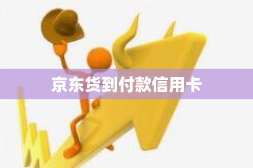 京东白条卡是信用卡吗(京东白条卡是信用卡吗安全吗)-第2张图片-无双博客