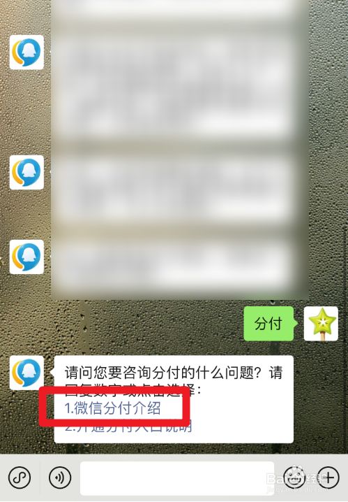 微信分付的钱怎么用(微信分付的钱怎么用不了)-第1张图片-无双博客