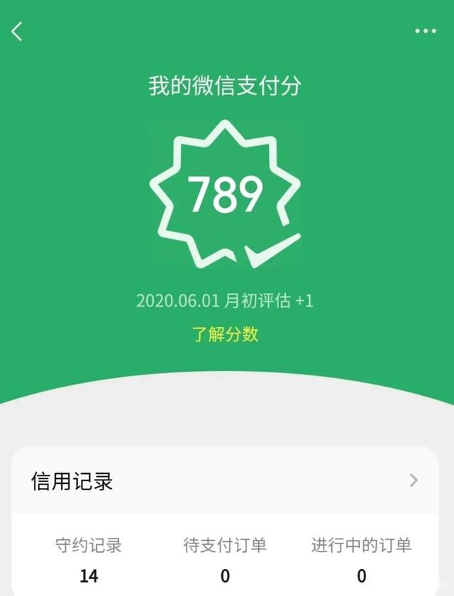 微信分付怎样提升额度(微信分付多久涨一次额度)-第2张图片-无双博客